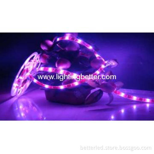 BETTER High lumens purple color waterproof SMD3528 Led Strip